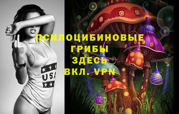 не бодяженный Володарск
