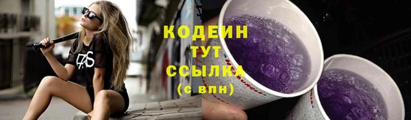 СК Волосово